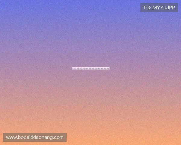 亚星娱乐聚焦世界杯明星球员的精彩表现与未来发展趋势